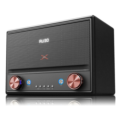 Sistema De Audio Xion Xtreme Retro Bluetooth Xi-xtretro Color Negro