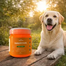 Probiotico Perro Digestivo Intestinal Alergia Ruffitos 240 G