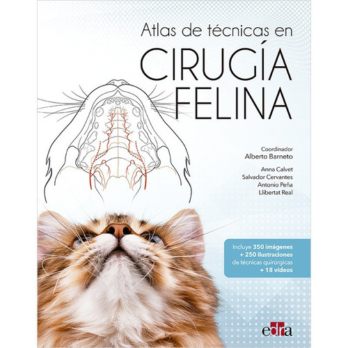 Atlas De Técnicas En Cirugía Felina Edra, De Alberto Barneto Carmona. Editorial Edra, Tapa Dura, Edición 1 En Español, 2022