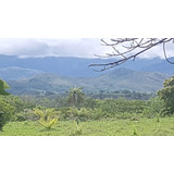 Terreno En La Queroga,aranjuez ,pitahaya De Puntarenas 