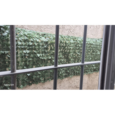 Foto del comprador