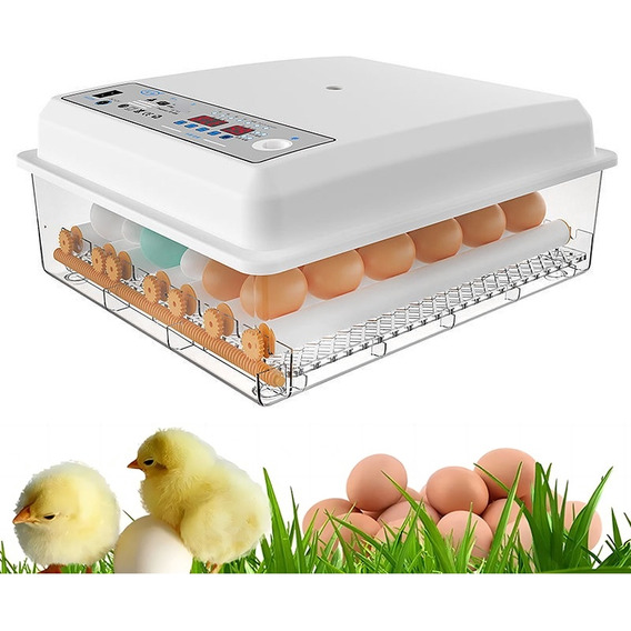 Incubadora Automatica De Huevos Para Pollos 36 Huevos