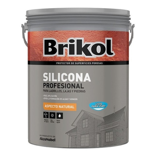 Brikol Ladrillos Silicona base agua incoloro 4 l