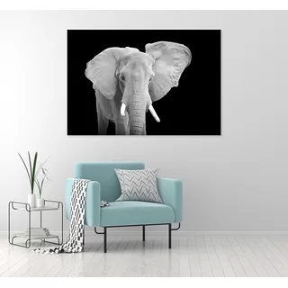 Elefante Blanco Y Negro, Canvas Cuadro Decorativo