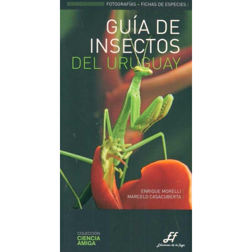 Libro: Guía De Insectos Del Uruguay / Morelli Y Casacuberta