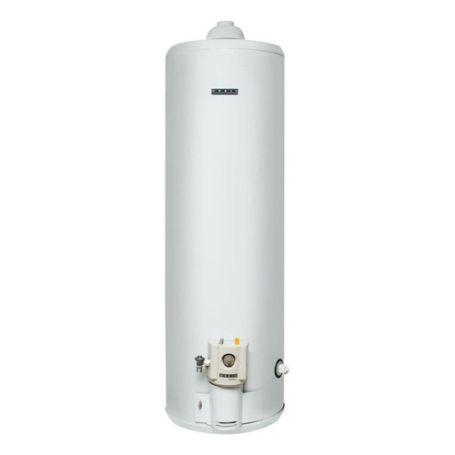 Termotanque 160 Lts. Orbis 160go Gn Conexión Superior Color Blanco