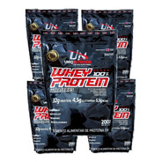 Combo 10x Whey Protein 100% Concentrado Atacado Kit (20kgs)
