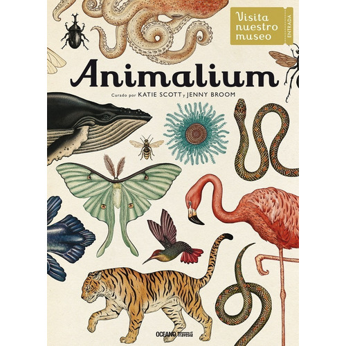 Libro: Animalium