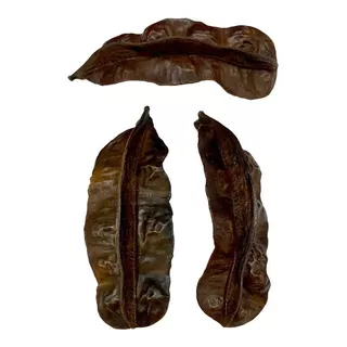 Fava De Aridan Africana Original Atacado 10 Unidades.