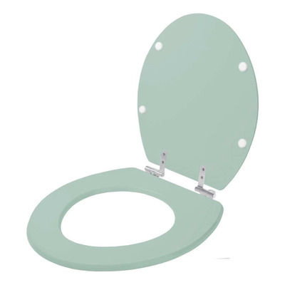 Assento Sanitário Soft Close Oval Verde Claro Para Icasa