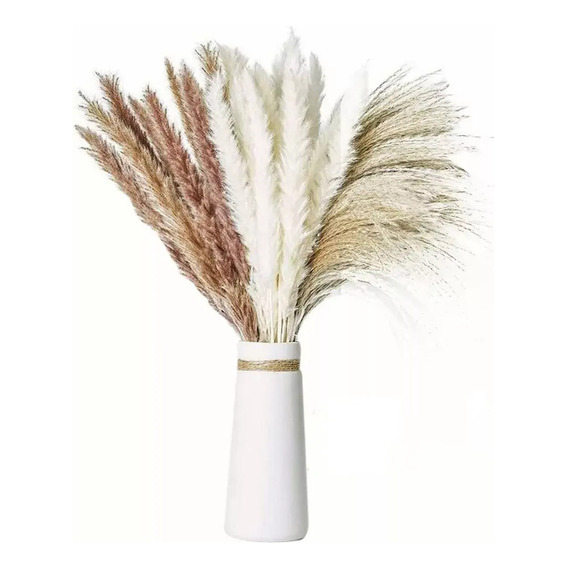 Pampas Secas 60 Pzs Plantas Decorativas Flores Artificiales