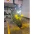 Benelli Trk 502 X