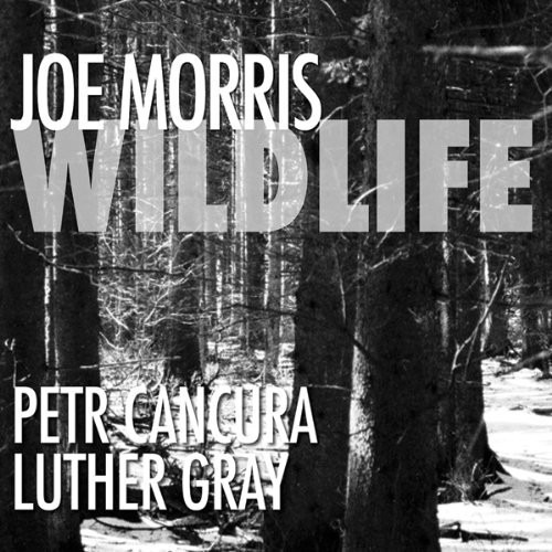 Morris Joe Wildlife Usa Import Cd