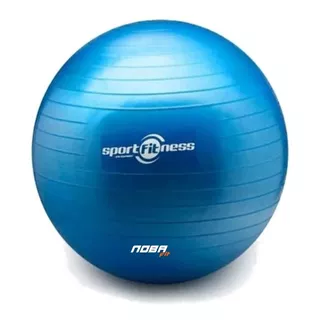 Balòn Pilates Terapia Yoga Pelota Gimnasio 65cm 