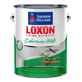 Pintura Latex Loxon Cielorraso Antihongo 4l Prestigio