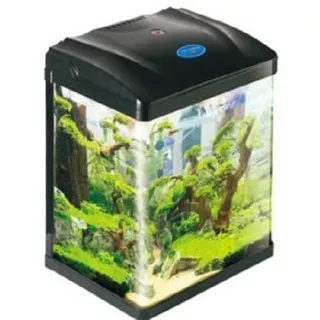 Pecera Para Betas, Acuario 7 Litros,led,filtro +envío Gratis