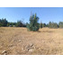 En Venta Parcela 2,5 Hectareas Codegua