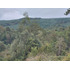 Espectacular Campo De 200 Hectareas En Loncoche