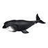 Bowhead Whale