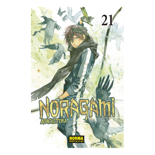 Noragami No. 21