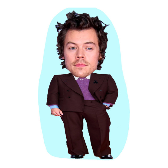 Mini Cojin Harry Styles Chiquito - Cojin Decorativo