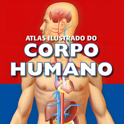 Didáticos