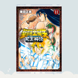 Manga Saint Seiya: Next Dimension - Mei Shinwa Tomo 11