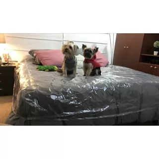 Forro Transparente Antifluidos Para Cama Queen