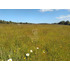 Parcela A Orilla De Camino En Totoral !
