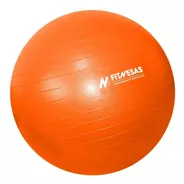 Pelota Esferodinamia 65 Cm Importada Anti Burst Gym Ball