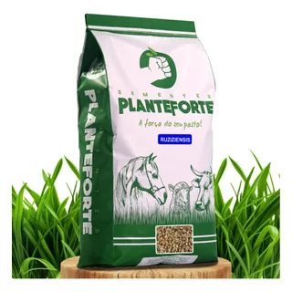 Sementes Brachiaria Ruziziensis 20 Kg - Frete Gratis - Soja 