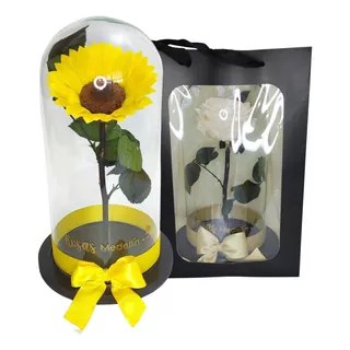 Girasol Eterno Preservado En Bolsa De Regalo