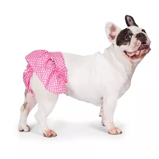 Bombacha Para Perra En Celo. Color Rosa. Bulldog Frances