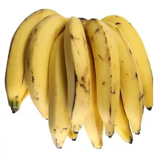 1 Mudas De Banana Da Terra (rizomas)