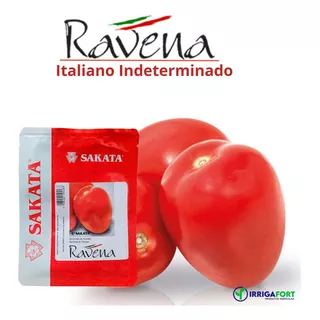 Sementes De Tomate Italiano Indeterminado Ravena