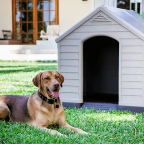 Casinha De Cachorro Grande Pet Plástico Dog House Premium
