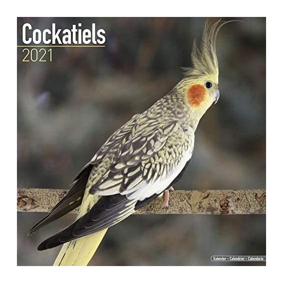 Libro: Calendario Cockatiels Calendarios 2020 Calendarios De