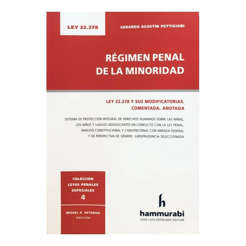 Régimen Penal De La Minoridad Ley 22.278 - Pettigiani -, De Pettigiani. Editorial Hammurabi, Tapa Blanda En Español, 2023