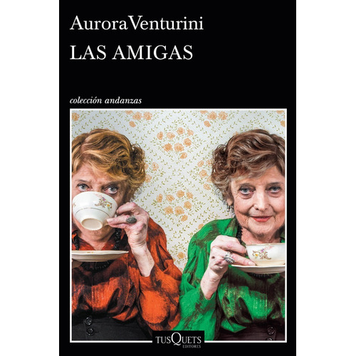Libro Las Amigas - Aurora Venturini - Andanzas - Planeta