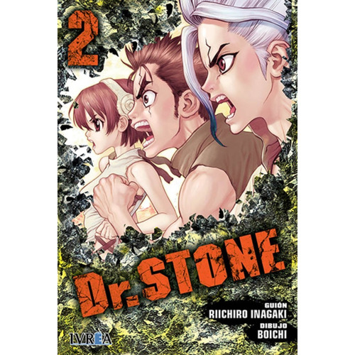 Manga Dr Stone vol.2