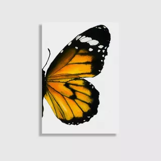 Cuadro Mariposa Monarca 50 X 35 Cm Decoración Hogar Sala