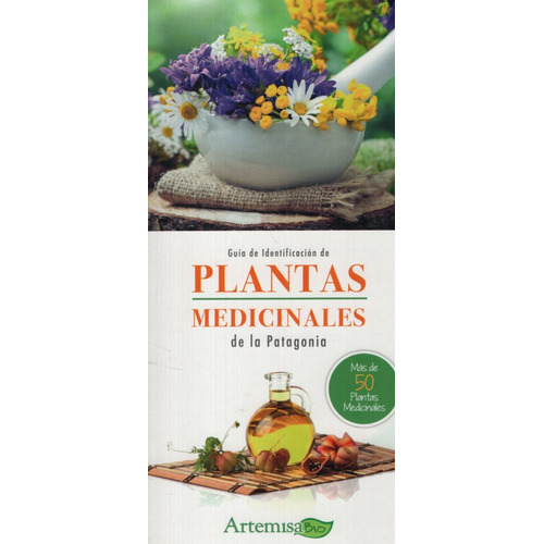 Guia De Identificacion De Plantas Medicinales De La Patagoni