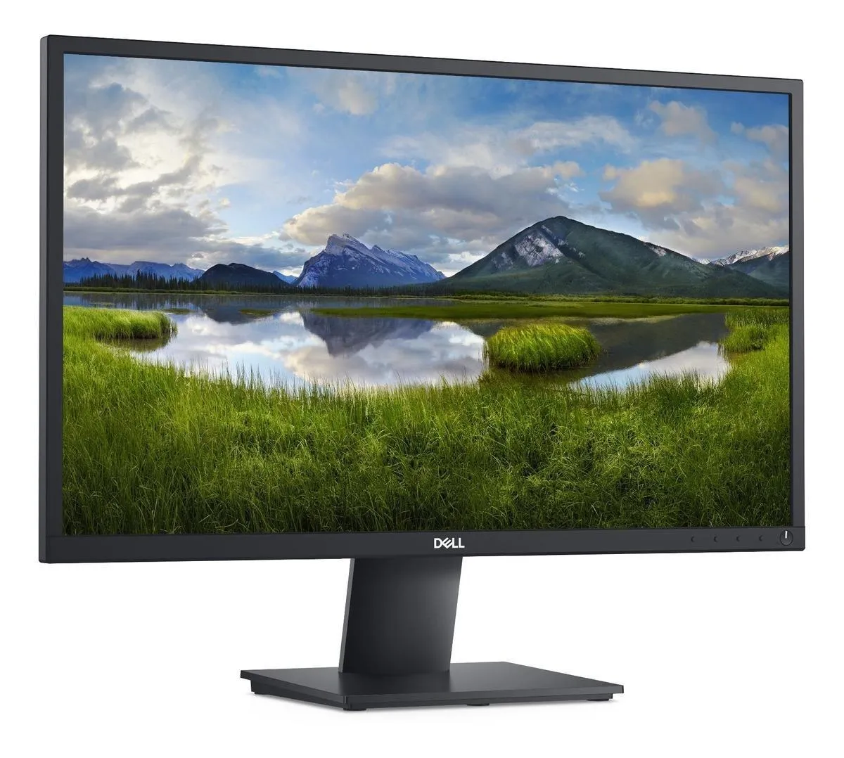 Dell E Series E2420H 24 "