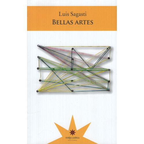 Libro Bellas Artes - Luis Sagasti