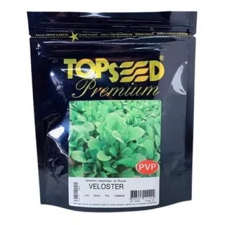 Sementes De Rúcula Veloster Topseed Premium 500 Gramas