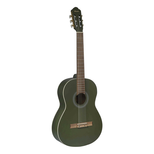 Guitarra Clasica Bamboo Studio Verde 39 Con Funda