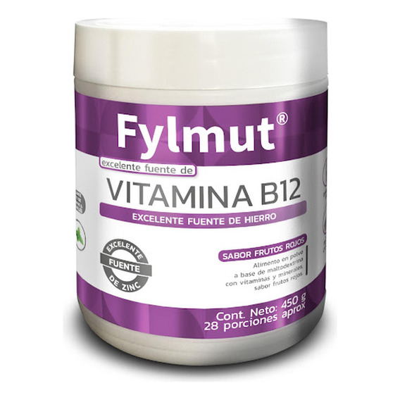 Fylmut Vitamina B12 Summa Sabor Frutos Rojos Frasco X 450 Gr