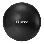 Pelota Suiza 25 Cm Esferodinamia Proyec Mini Ball Yoga