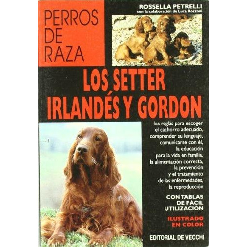 Setter Irlandes Y Gordon, Los, De Petrelli, Rossella. Editorial De Vecchi, Tapa Tapa Blanda En Español