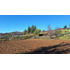 Parcela Rusticas, 5000m2 En Chacay,sta. Juana (112739)